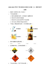 2020-2021学年广西玉林市玉州区九年级（上）期中化学试卷