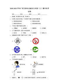 2020-2021学年广西玉林市北流市九年级（上）期中化学试卷