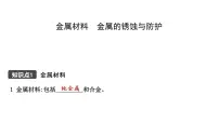 2021年春鲁教版化学中考第一轮复习课件 第9单元(2) 金属