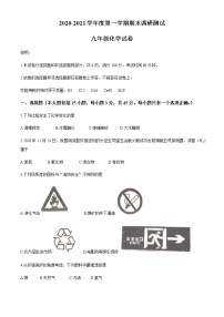 广东省江门市恩平市2020-2021学年九年级上学期期末化学试题