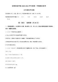 广东省深圳市深圳实验学校2020-2021学年九年级上学期期末联考化学试题