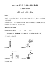 山东省德州市禹城市2020-2021学年九年级上学期期末化学试题