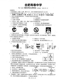 安徽省合肥市寿春中学2020-2021学年第一学期九年级化学期末考试