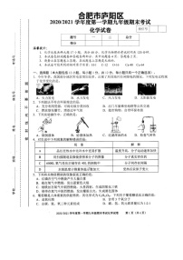 合肥市庐阳区2020-2021学年第一学期九年级化学期末考试