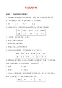 2021年春人教版九年级化学中考第一轮知识点过关训练     常见的酸和碱