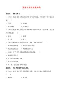 2021年春人教版九年级化学中考第一轮知识点过关训练     溶液与溶质质量分数