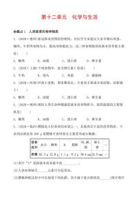 2021年春人教版九年级化学中考第一轮知识点过关训练    化学与生活