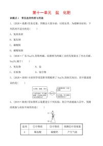 2021年春人教版九年级化学中考第一轮知识点过关训练   盐　化肥