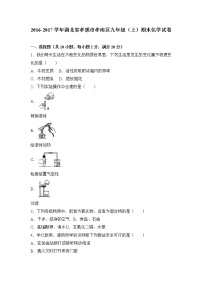 2016-2017学年湖北省孝感市孝南区九年级（上）期末化学试卷（解析版）