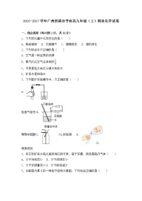 广西贵港市平南县九年级（上）期末化学试卷（解析版）