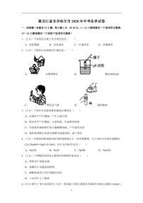 黑龙江省齐齐哈尔市2020年中考化学试卷含解析