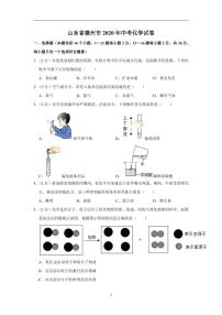 山东省德州市2020年中考化学试卷含解析