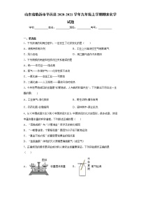 山东省临沂市平邑县2020-2021学年九年级上学期期末化学试题(word版含答案)