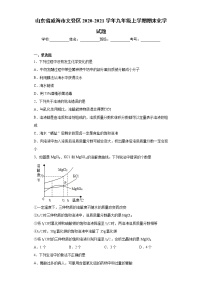 山东省威海市文登区2020-2021学年九年级上学期期末化学试题(word版含答案)