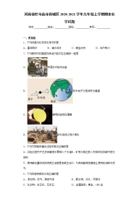 河南省驻马店市驿城区2020-2021学年九年级上学期期末化学试题(word版含答案)