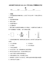 山东省济宁市鱼台县2020-2021学年九级上学期期末化学试题(word版含答案)