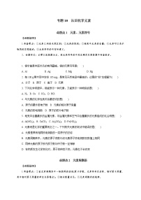 专题10　认识化学元素-2021年中考化学命题点分析与精练