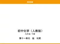 化学九年级下册第十一单元 盐 化肥综合与测试授课课件ppt