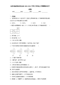 山东省威海市乳山市2020-2021学年八年级上学期期末化学试题（word版 含答案）