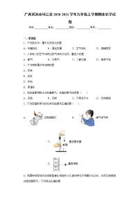 广西河池市环江县2020-2021学年九年级上学期期末化学试题（word版 含答案）