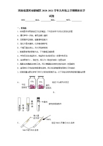 河南省漯河市郾城区2020-2021学年九年级上学期期末化学试题（word版 含答案）