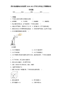 四川省成都市天府新区2020-2021学年九年级上学期期末化学试题（word版 含答案）