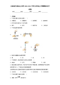 云南省玉溪市江川区2020-2021学年九年级上学期期末化学试题（word版 含答案）