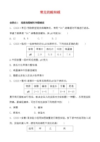 2021年春人教版九年级化学中考第一轮知识点过关训练     常见的酸和碱