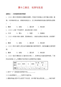 2021年春人教版九年级化学中考第一轮知识点过关训练    化学与生活