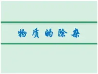 2021中考化学专题复习 物质的除杂课件
