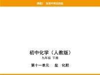 初中化学人教版九年级下册课题1 生活中常见的盐评课课件ppt