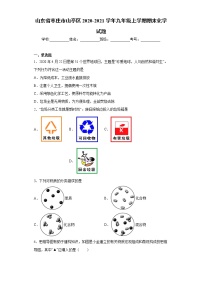 山东省枣庄市山亭区2020-2021学年九年级上学期期末化学试题（word版含答案）