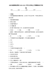 山东省淄博沂源县2020-2021学年九年级上学期期末化学试题（word版 含答案）