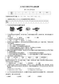 初中化学人教版九年级下册第十二单元  化学与生活综合与测试同步练习题