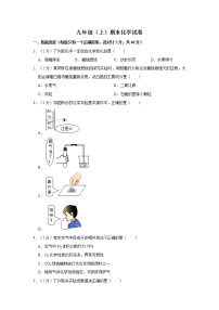 人教版九年级（上）期末化学试卷 (3)