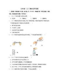 人教版九年级（上）期末化学试卷 (5)