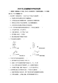 2020年山东省聊城市中考化学试卷（解析版）