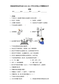 河南省信阳市罗山县2020-2021学年九年级上学期期末化学试题（word版 含答案）