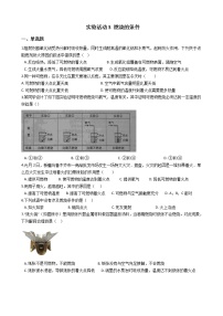 初中化学人教版九年级上册第七单元 燃料及其利用实验活动 3 燃烧的条件达标测试