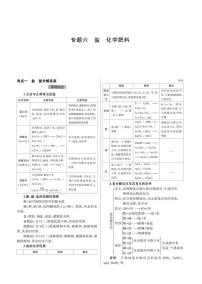 人教版2021中考化学二轮专题 专题六《盐 化学肥料》知识汇总