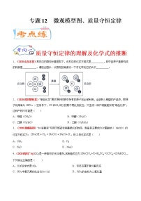 专题12  微观模型图、质量守恒定律（考点专练）-备战2021年中考化学考点微专题（原卷版）