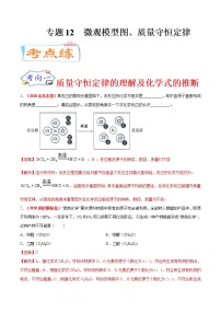 专题12  微观模型图、质量守恒定律（考点专练）-备战2021年中考化学考点微专题（解析版）