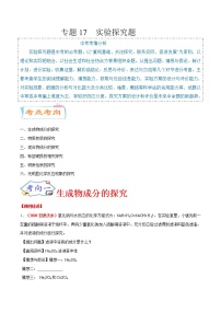 专题17  实验探究题（考点详解）-备战2021年中考化学考点微专题（原卷版）