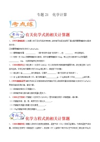 专题21  化学计算（考点专练）-备战2021年中考化学考点微专题（原卷版）