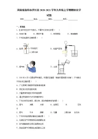 河南省洛阳市伊川县 2020-2021学年九年级上学期期末化学试题(word版 含答案)