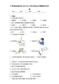 广西河池市南丹县 2020-2021学年九年级上学期 期末化学试题（含答案）