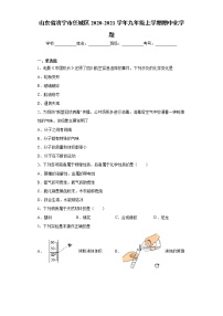 山东省济宁市任城区2020-2021学年九年级上学期期中化学题（word版 含答案）