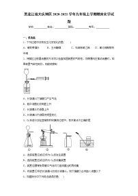 黑龙江省大庆地区2020-2021学年九年级上学期期末化学试题（word版 含答案）