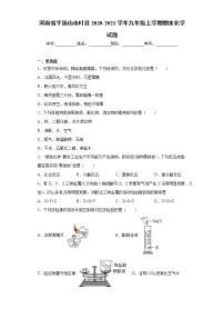 河南省平顶山市叶县2020-2021学年九年级上学期期末化学试题（word版 含答案）