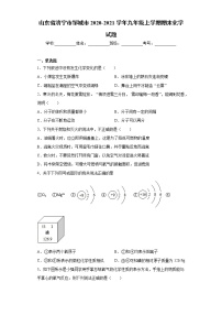 山东省济宁市邹城市2020-2021学年九年级上学期期末化学试题（word版 含答案）